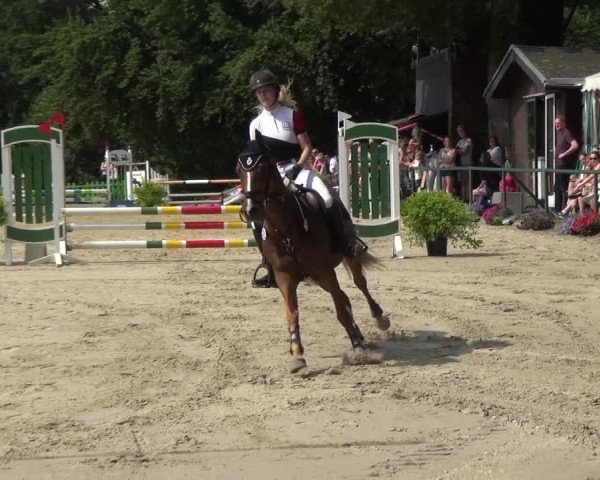 Reitturnier Burscheid-Paffenlöh 2018