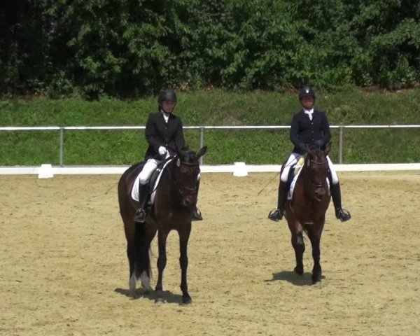 Reitturnier Ladenburg 2018