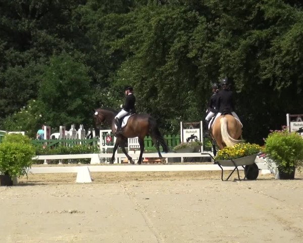 Reitturnier Burscheid-Paffenlöh 2018