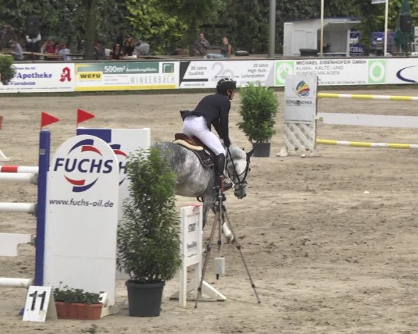 Reitturnier Viernheim 2018