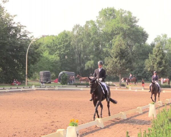 Reitturnier Dallgow 2018