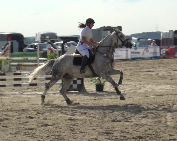 Reitturnier Burscheid-Paffenlöh 2018