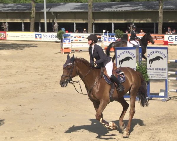 Reitturnier Viernheim 2018
