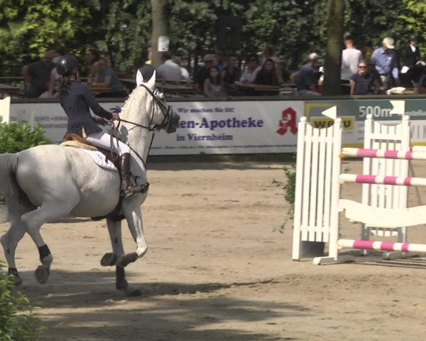 Reitturnier Viernheim 2018