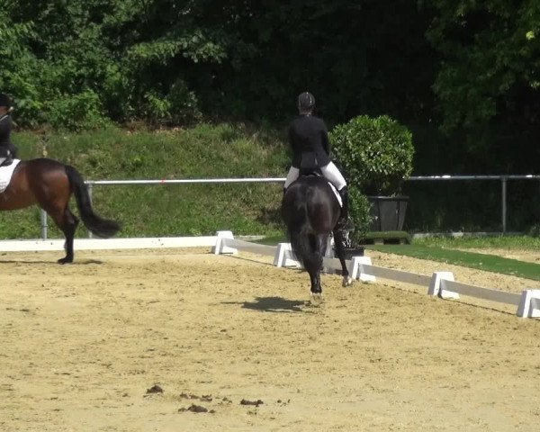 Reitturnier Ladenburg 2018