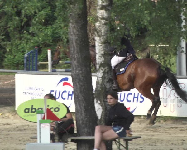Reitturnier Viernheim 2018