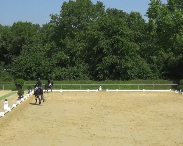 Reitturnier Ladenburg 2018