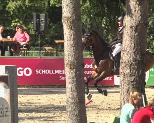 Reitturnier Viernheim 2018