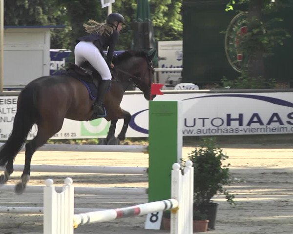 Reitturnier Viernheim 2018