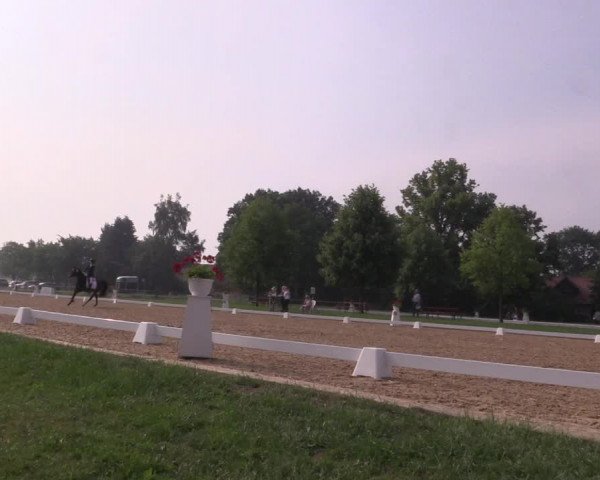 Reitturnier Hille 2018