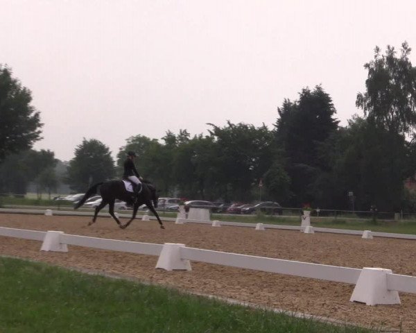 Reitturnier Hille 2018