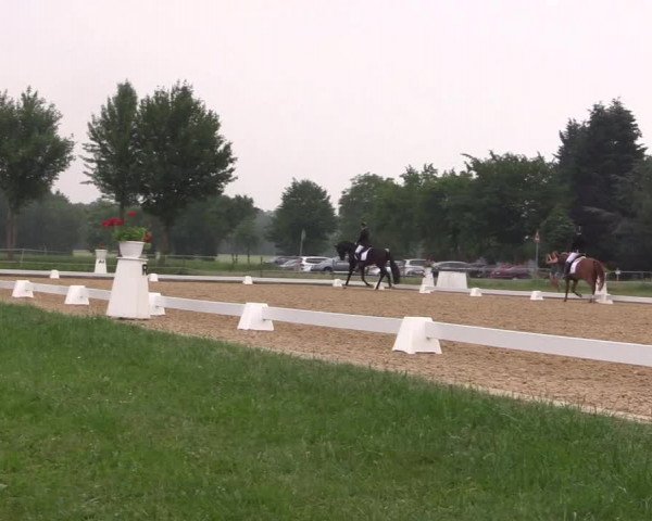 Reitturnier Hille 2018