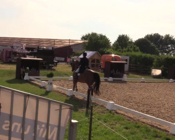 Reitturnier Schillerslage 2018