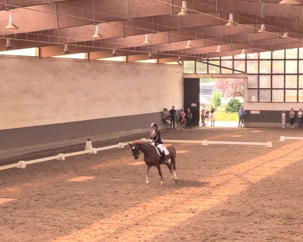 Reitturnier Dallgow 2018