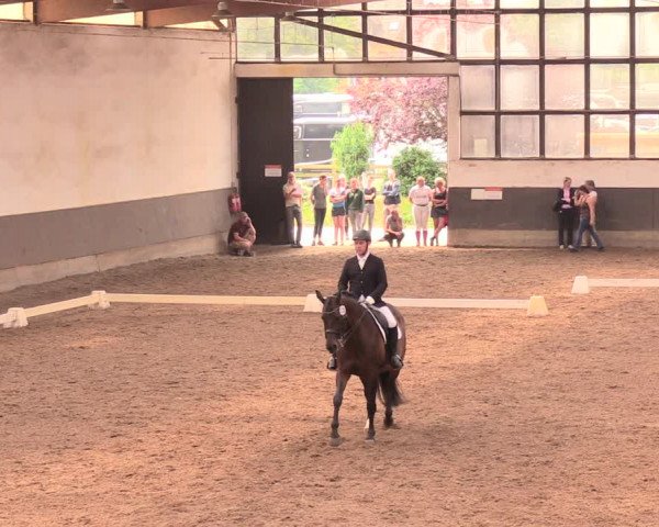 Reitturnier Dallgow 2018