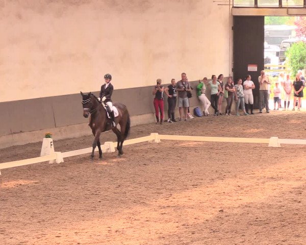 Reitturnier Dallgow 2018