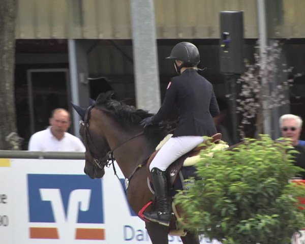 Reitturnier Viernheim 2018