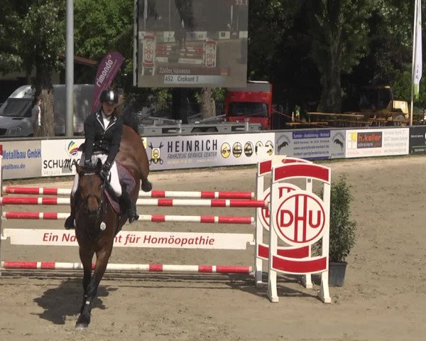Reitturnier Viernheim 2018
