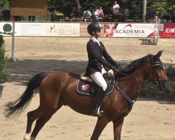 Reitturnier Viernheim 2018