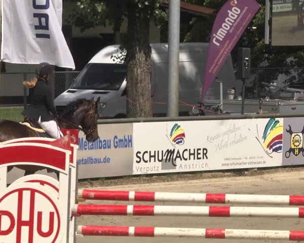 Reitturnier Viernheim 2018