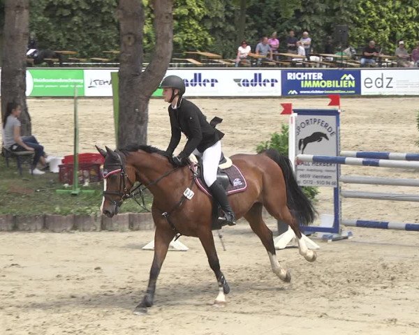 Reitturnier Viernheim 2018