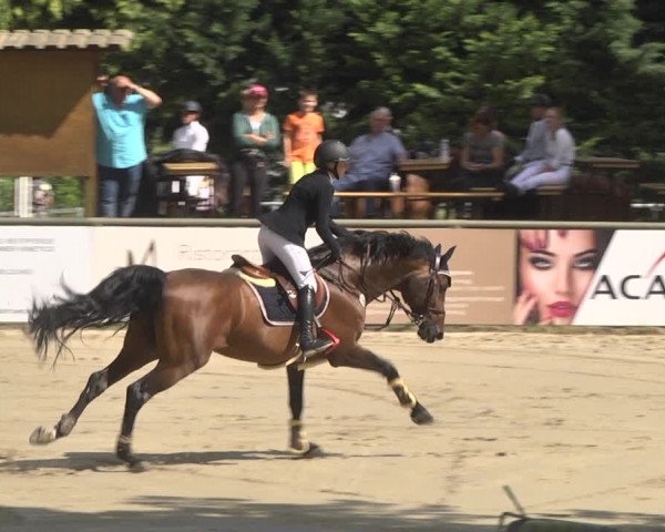Reitturnier Viernheim 2018