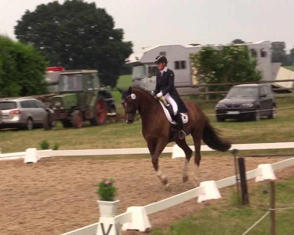 Reitturnier Schillerslage 2018