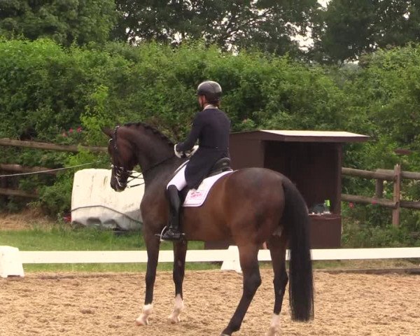 Reitturnier Schillerslage 2018