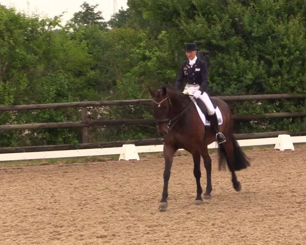 Reitturnier Schillerslage 2018