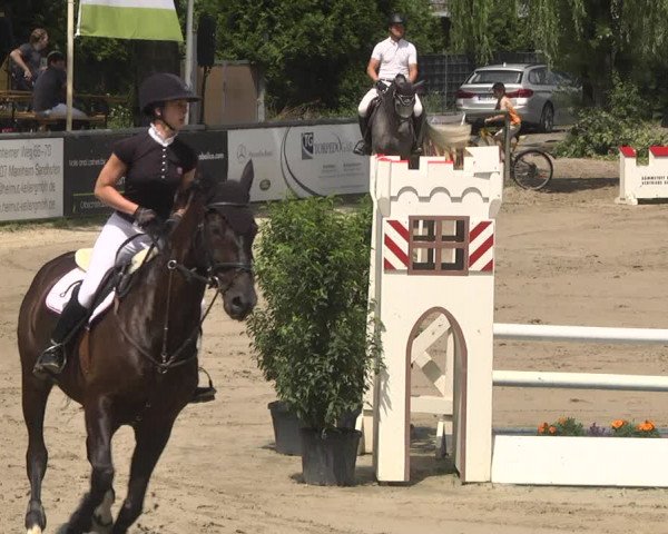 Reitturnier Viernheim 2018