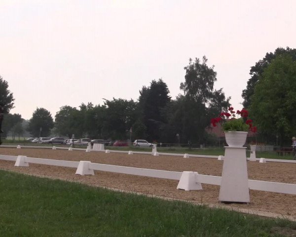Reitturnier Hille 2018