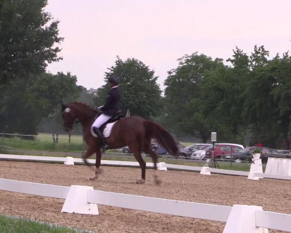Reitturnier Hille 2018