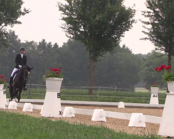 Reitturnier Hille 2018