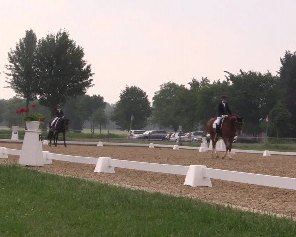 Reitturnier Hille 2018