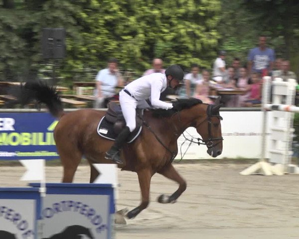 Reitturnier Viernheim 2018