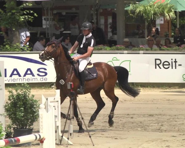Reitturnier Viernheim 2018