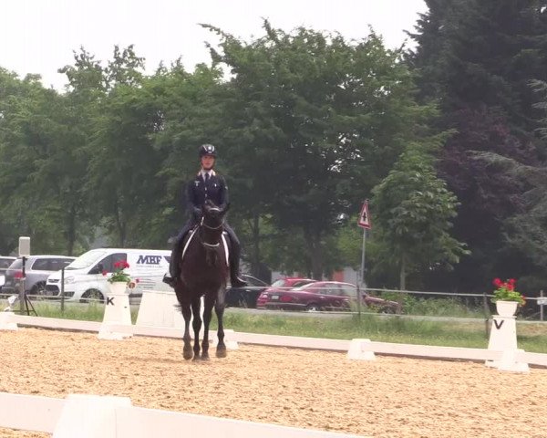 Reitturnier Hille 2018