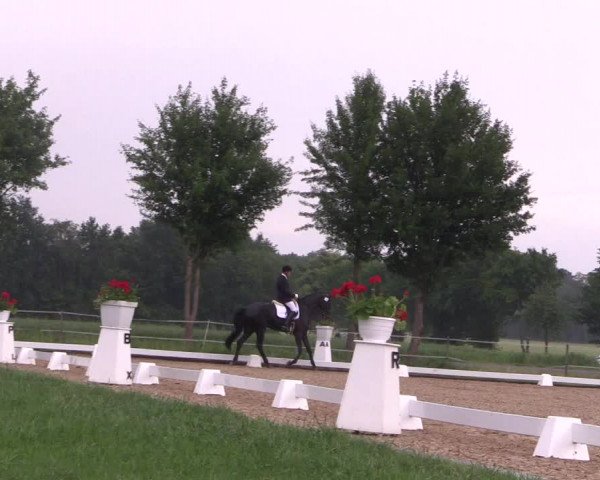 Reitturnier Hille 2018