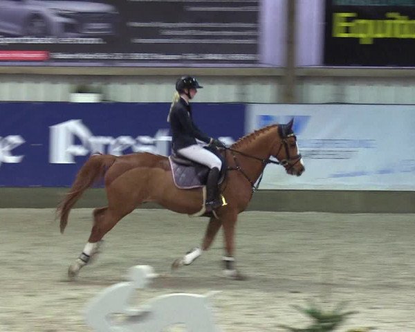 6. Nordic Jumping in Negernbötel 2021