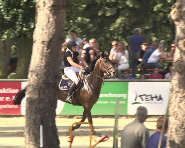 Reitturnier Viernheim 2018