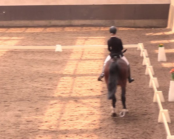 Reitturnier Dallgow 2018