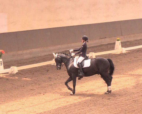 Reitturnier Dallgow 2018