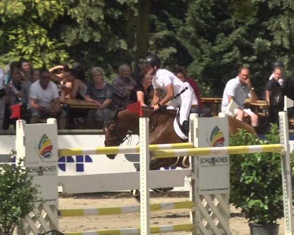 Reitturnier Viernheim 2018