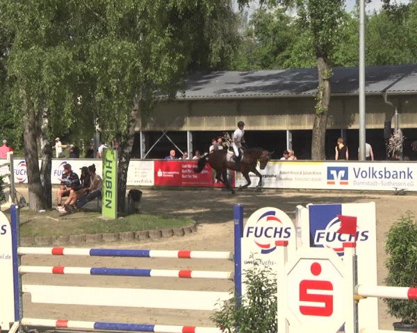 Reitturnier Viernheim 2018