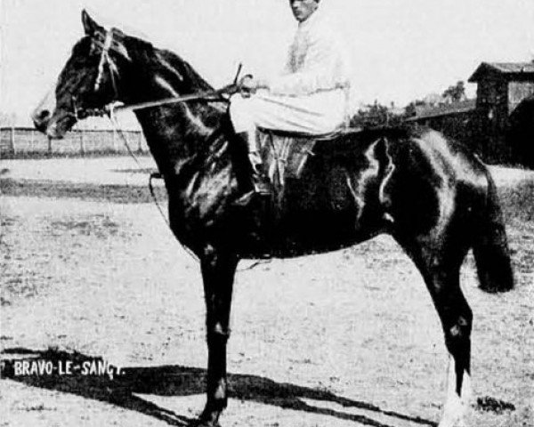 stallion Bravo le Sancy xx (Thoroughbred, 1899, from Le Sancy xx)