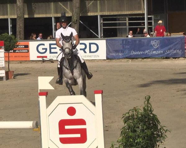 Reitturnier Viernheim 2018
