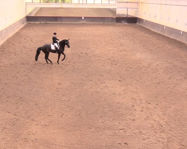 Reitturnier Dallgow 2018