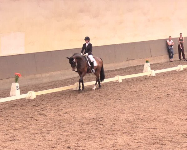 Reitturnier Dallgow 2018