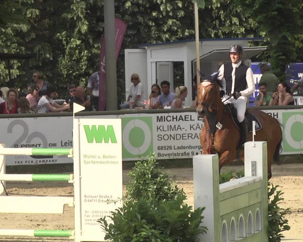 Reitturnier Viernheim 2018