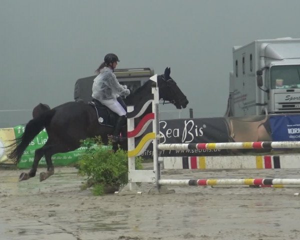 Reitturnier Burscheid-Paffenlöh 2018